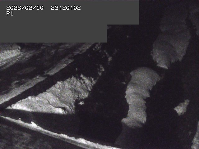 新興寺谷川１2026/02/11 3:00:00