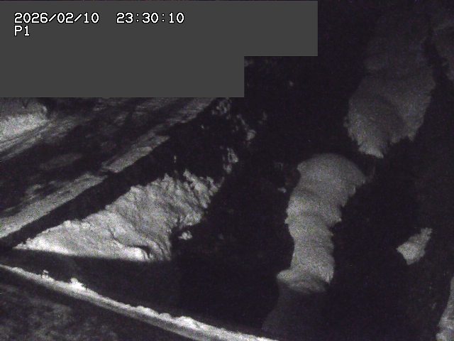 新興寺谷川１2026/02/11 3:00:00