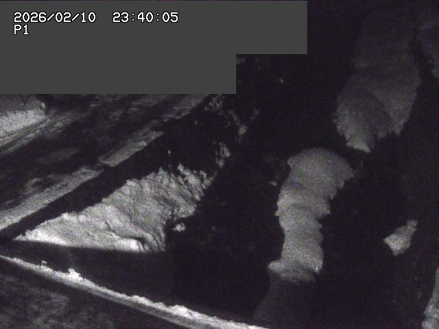 新興寺谷川１2026/02/11 3:00:00