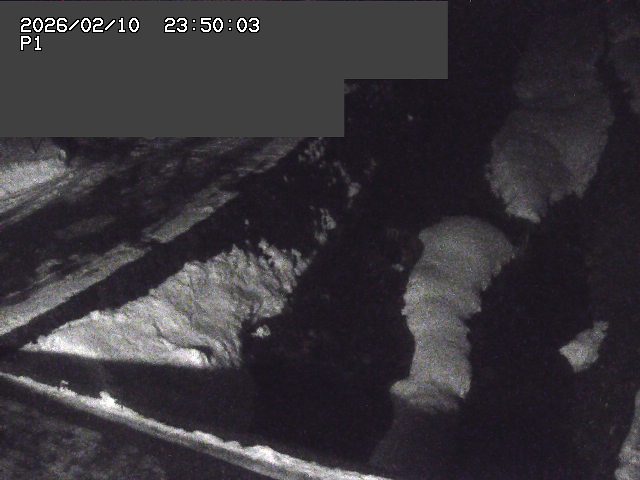 新興寺谷川１2026/02/11 3:00:00