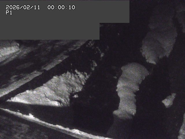 新興寺谷川１2026/02/11 3:00:00