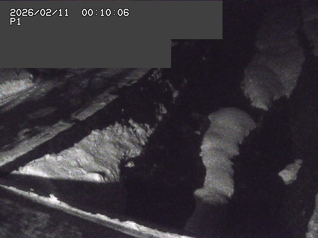 新興寺谷川１2026/02/11 3:00:00