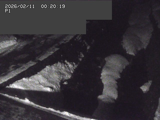 新興寺谷川１2026/02/11 3:00:00