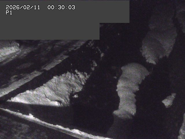 新興寺谷川１2026/02/11 3:00:00