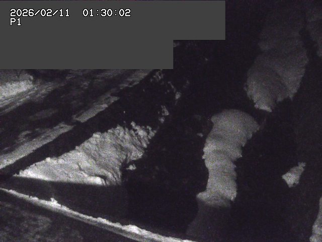 新興寺谷川１2026/02/11 3:00:00