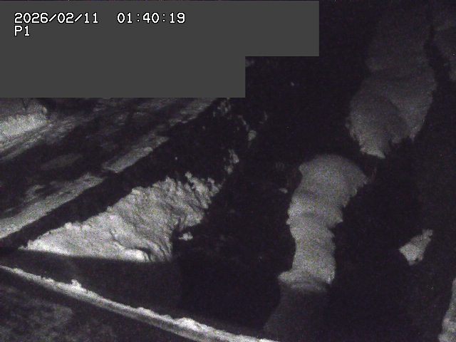 新興寺谷川１2026/02/11 3:00:00