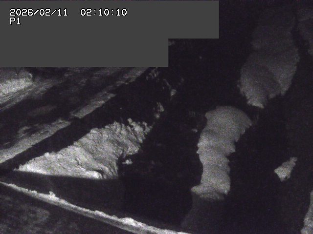 新興寺谷川１2026/02/11 3:00:00