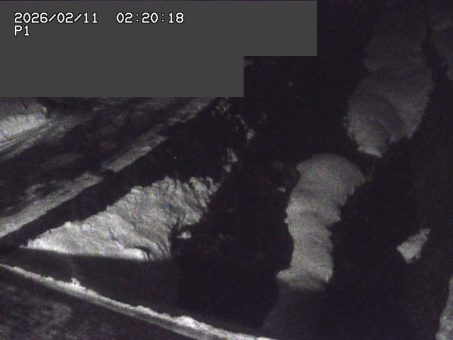 新興寺谷川１2026/02/11 3:00:00