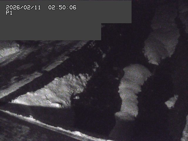 新興寺谷川１2026/02/11 3:00:00