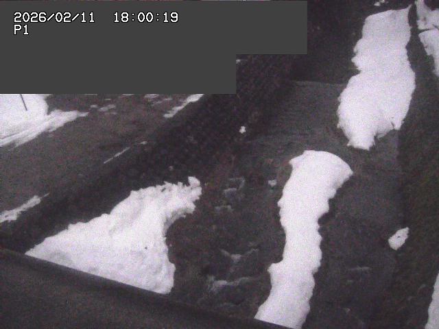 新興寺谷川１2026/02/12 18:50:00