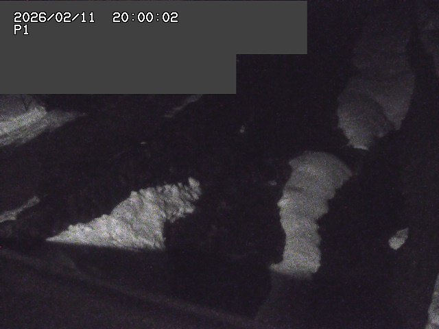 新興寺谷川１2026/02/12 18:50:00