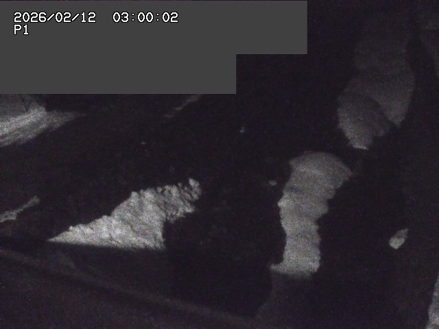 新興寺谷川１2026/02/12 18:50:00