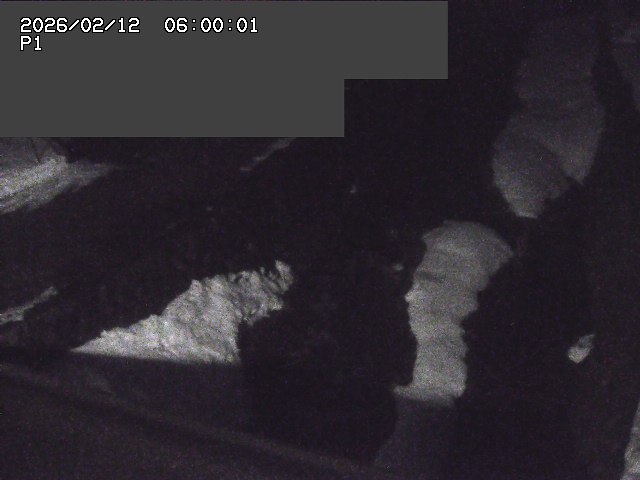 新興寺谷川１2026/02/12 18:50:00