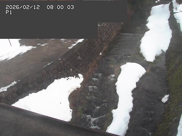 新興寺谷川１2026/02/12 18:50:00