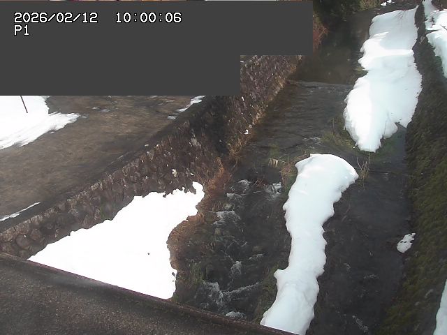 新興寺谷川１2026/02/12 18:50:00