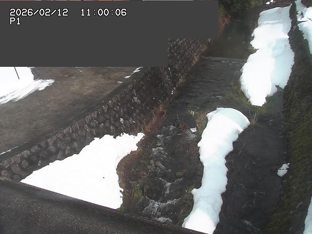 新興寺谷川１2026/02/12 18:50:00