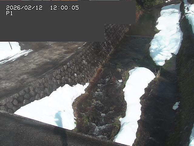 新興寺谷川１2026/02/12 18:50:00