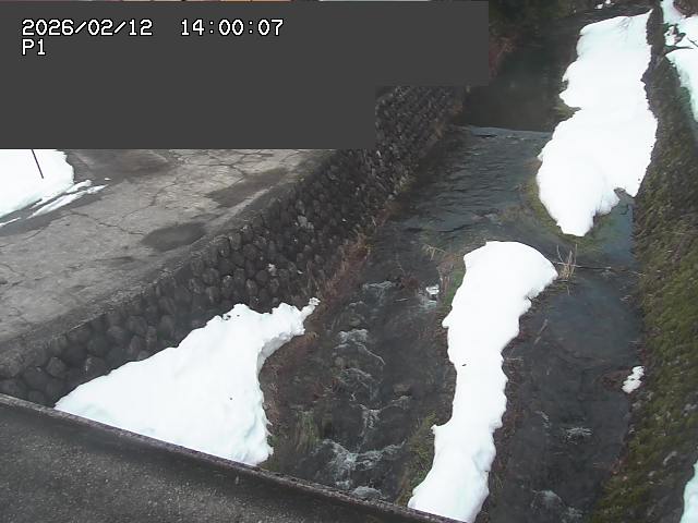 新興寺谷川１2026/02/12 18:50:00