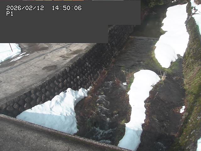 新興寺谷川１2026/02/12 18:50:00