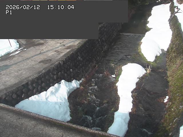 新興寺谷川１2026/02/12 18:50:00