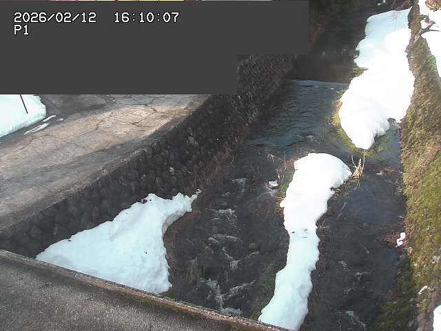 新興寺谷川１2026/02/12 18:50:00