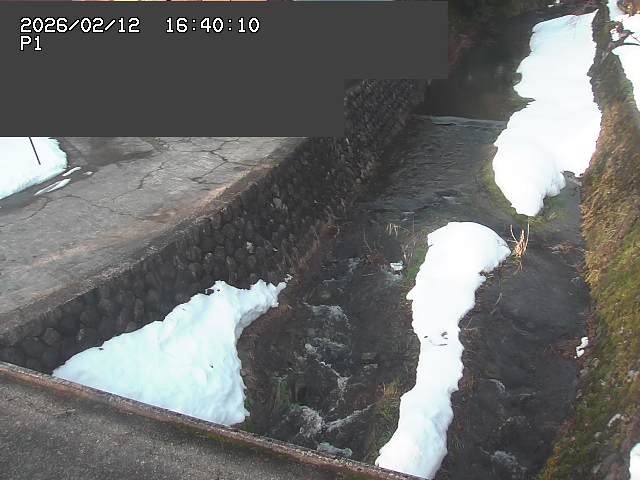 新興寺谷川１2026/02/12 18:50:00