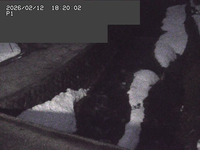 新興寺谷川１2026/02/12 18:50:00