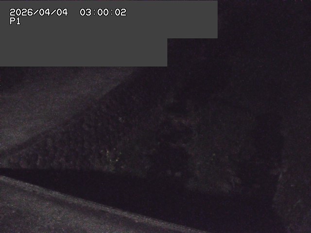 新興寺谷川１2026/04/05 3:30:00