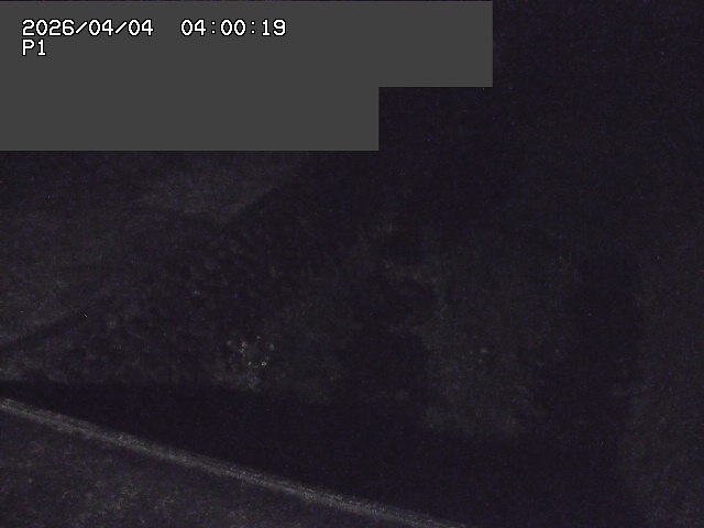 新興寺谷川１2026/04/05 3:30:00