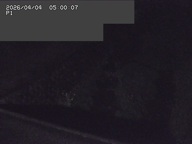 新興寺谷川１2026/04/05 3:30:00