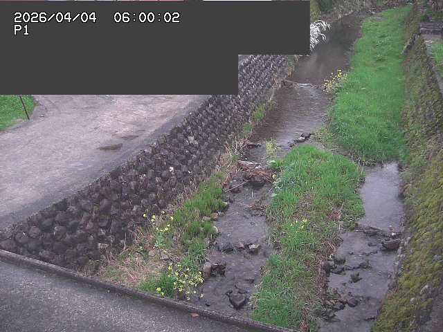 新興寺谷川１2026/04/05 3:30:00