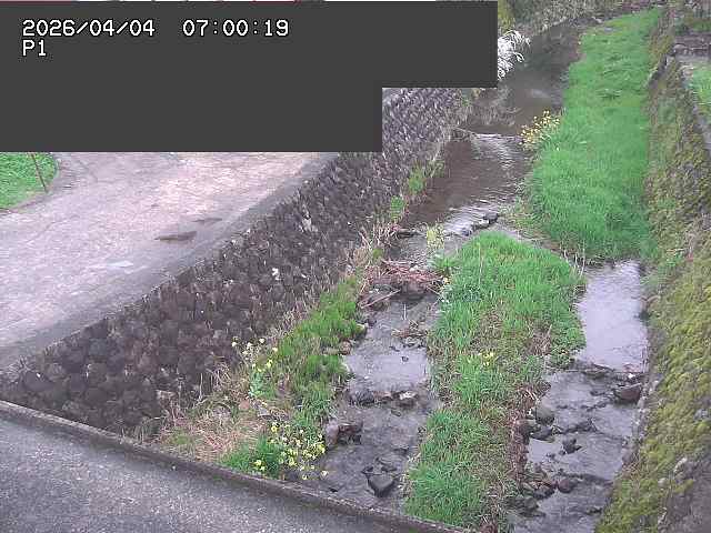 新興寺谷川１2026/04/05 3:30:00