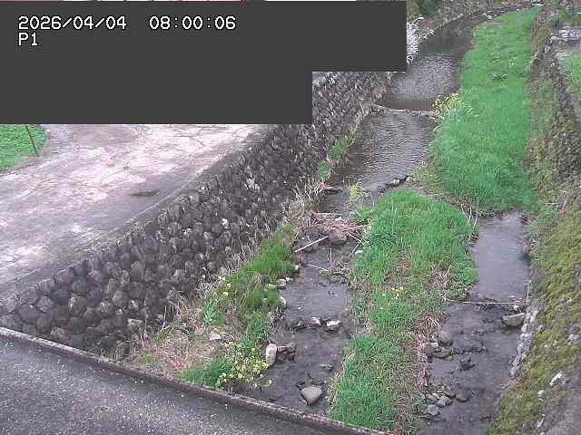 新興寺谷川１2026/04/05 3:30:00