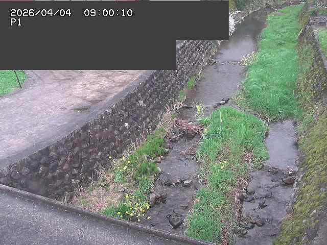 新興寺谷川１2026/04/05 3:30:00