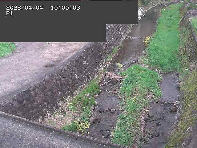 新興寺谷川１2026/04/05 3:30:00