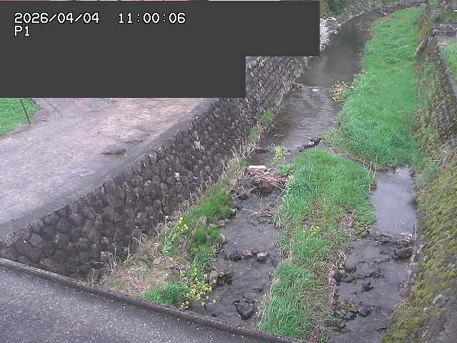 新興寺谷川１2026/04/05 3:30:00