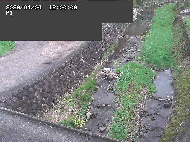 新興寺谷川１2026/04/05 3:30:00