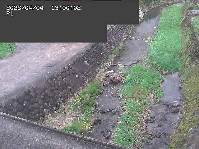 新興寺谷川１2026/04/05 3:30:00