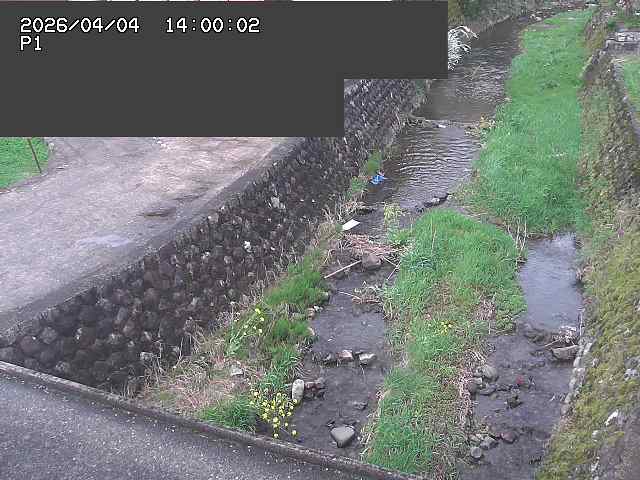 新興寺谷川１2026/04/05 3:30:00