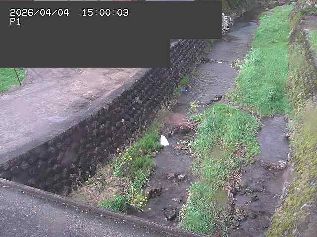 新興寺谷川１2026/04/05 3:30:00