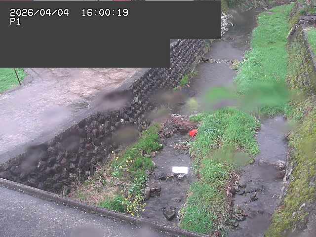 新興寺谷川１2026/04/05 3:30:00