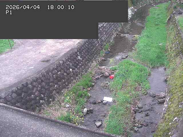 新興寺谷川１2026/04/05 3:30:00