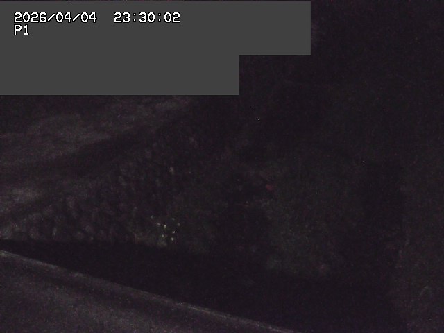 新興寺谷川１2026/04/05 3:30:00