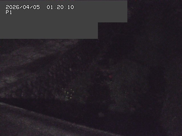 新興寺谷川１2026/04/05 3:30:00