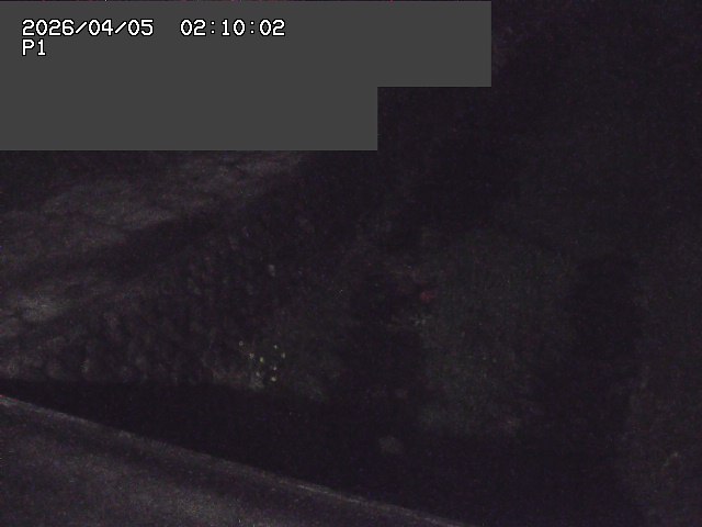新興寺谷川１2026/04/05 3:30:00