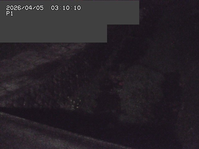 新興寺谷川１2026/04/05 3:30:00