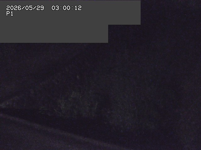 新興寺谷川１2026/05/30 3:30:00