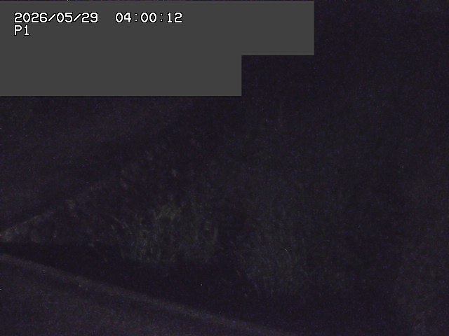 新興寺谷川１2026/05/30 3:30:00