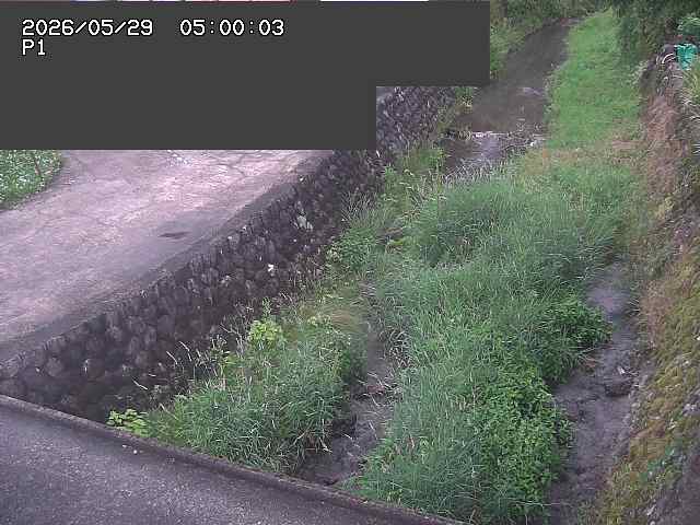 新興寺谷川１2026/05/30 3:30:00