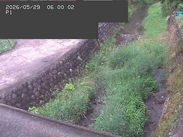 新興寺谷川１2026/05/30 3:30:00